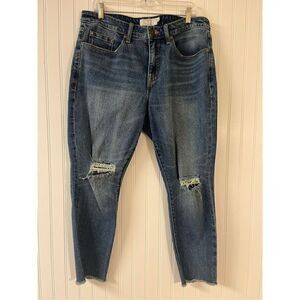 Torrid Denim jeans high rise straight